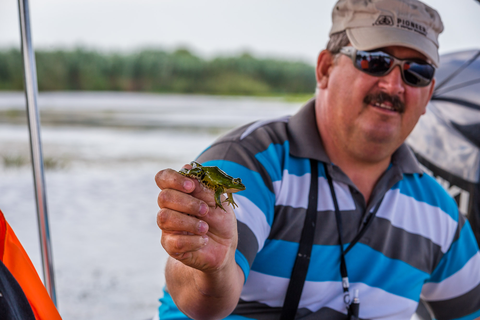 Frog, Danube Delta