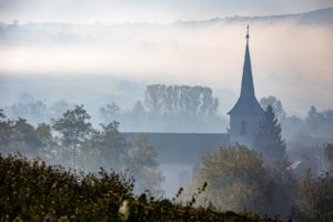 Mist in Transylvania