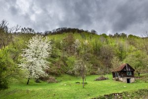 Spring in Transylvania, Romania